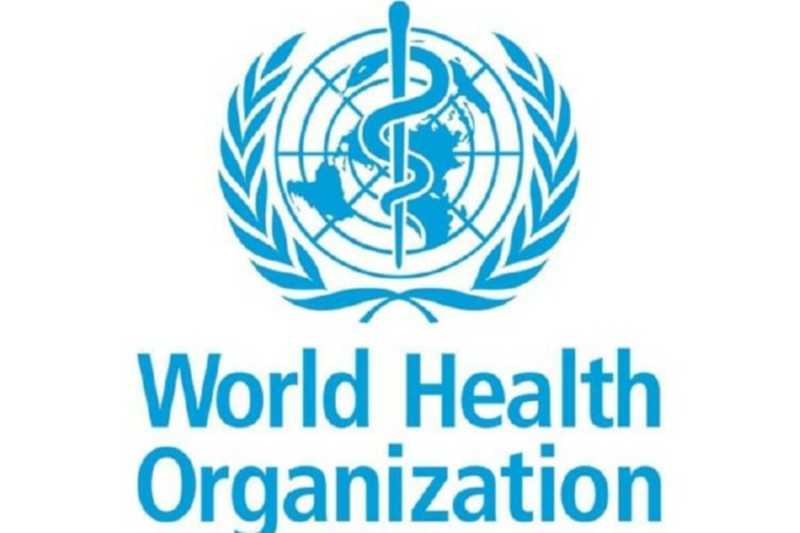 Cholera should not be killing anyone in 21st century: WHO