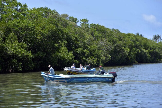 SRI LANKA-NEGOMBO-MANGROVE ECOSYSTEM