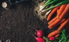 East backs Singapore food surplus marketplace