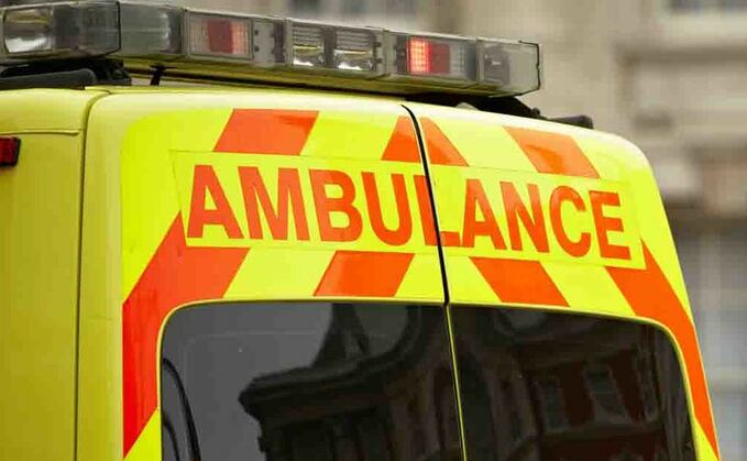 Men injured after incident involving cow at Welshpool Livestock Market