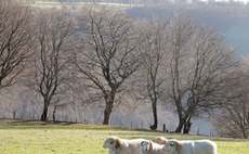 Ensure ram longevity post-tupping