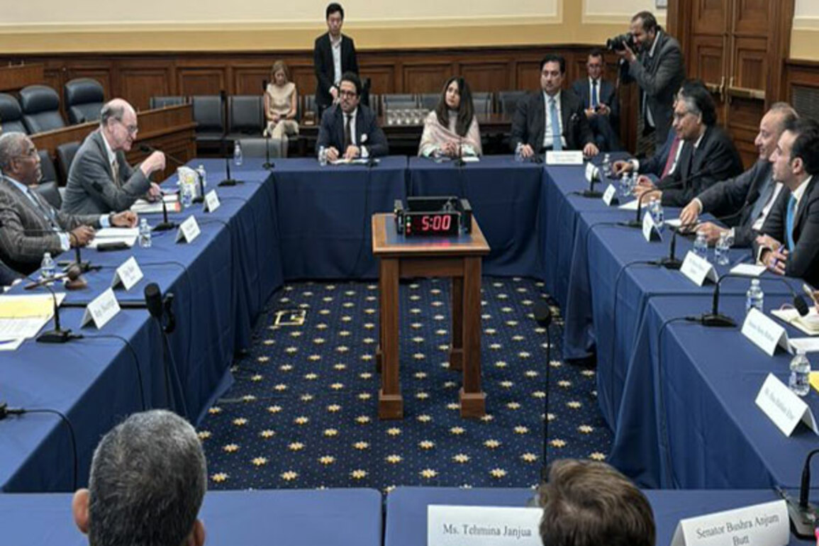 US Congressman raises Sindh human rights concerns with Pakistan delegation
