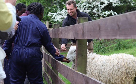 Therapy farm set up in response to city knife crime