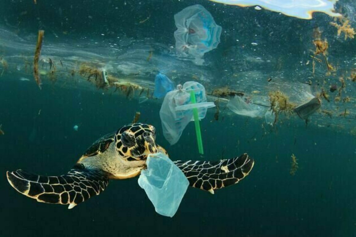 Mengapa target 70% pengurangan sampah plastik laut pada 2025 sulit tercapai?