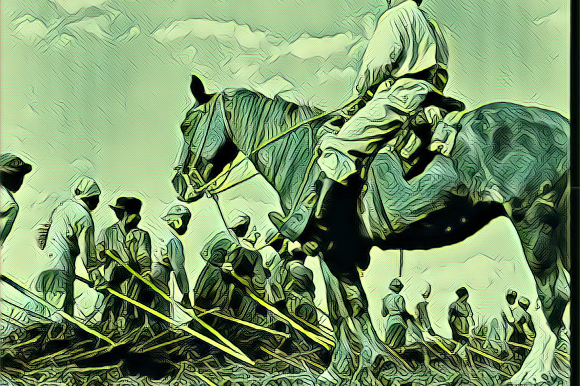As summer nears, Angola Farm Line workers again demand more protections against heat - The Lens