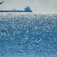 Indias imports of Russian oil rise  media
