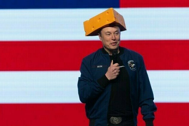Musk stepping down as special government employee