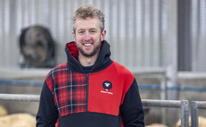 The Sheep Game's Cammy Wilson on improving flock performance through smarter dosing