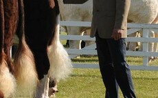 Go ahead for 2021 Great Yorkshire Show