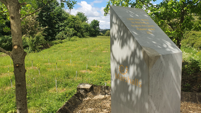 Marshalls plants 2,800 trees to mark royal jubilee