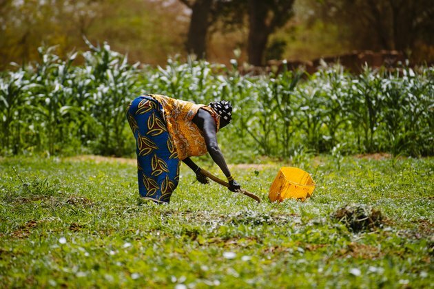 Burkina Faso study shows link between land degradation and migration