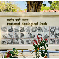 Delhi Zoo forms committee led by joint director to inquire into jackal's death in three days
