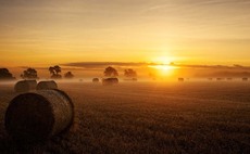 Farmer donates food money to charity in weight-loss challenge