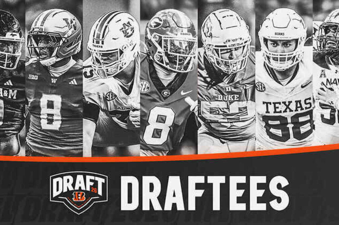 Draft Makes The Grade As Bengals Grind Back Into A Contender