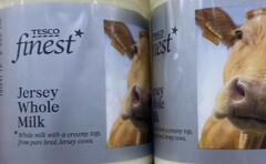 Tesco 'blunder' as Guernsey cow pictured on Jersey milk bottle