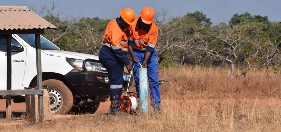 Perseus bows out of Bankan bidding battle