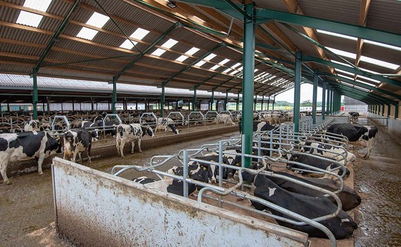 Taking a herd health approach to veterinary input - The days of James Herriot are long past