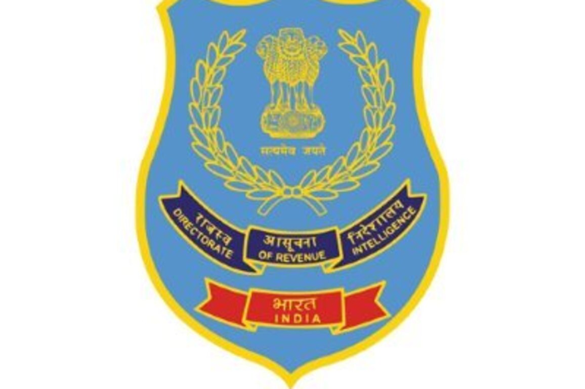 DRI Mumbai seizes 28 containers with 800 MT Pakistan-origin goods worth Rs 12 crore; two held