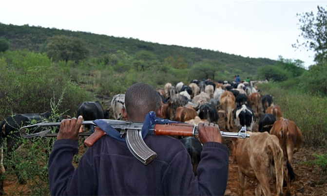 The armed rustlers were intercepted at Cheborom village (Kween) by both the Police and army. (AFP / File photo)