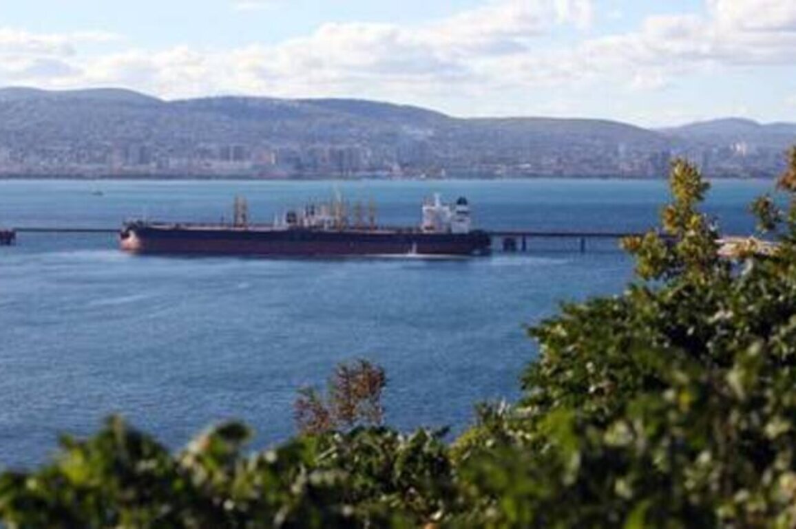 Russia preparing oil lifeline to Cuba - embassy
