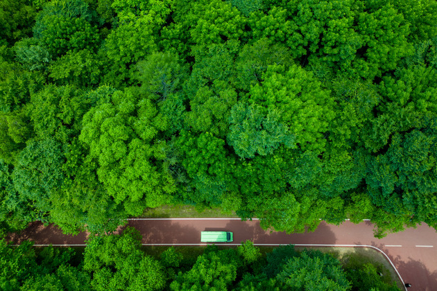 CHINA-HEILONGJIANG-YICHUN-NATURAL RESOURCE (CN)