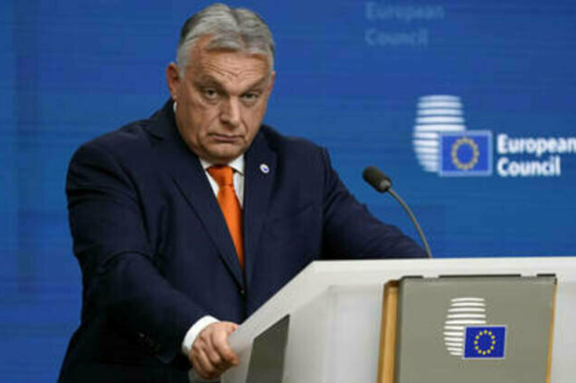 EU state launches campaign against bloc's 'war plan'
