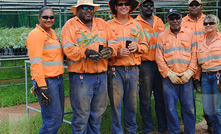 Workers at Amrun.