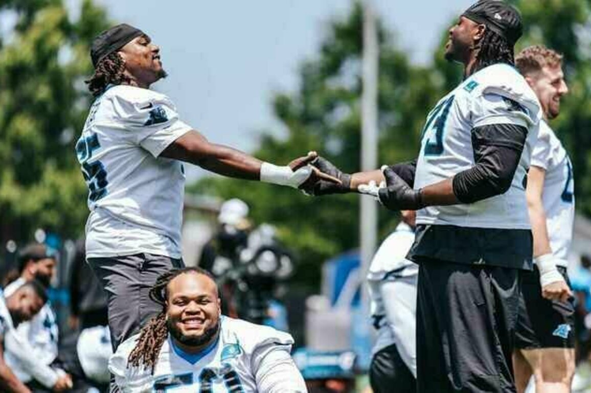 How the offensive line has become guardians of the Panthers galaxy
