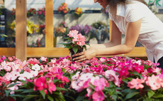 Livonia Partners buys garden centre Hortes