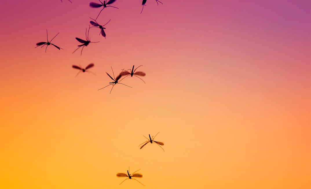 Mass migration and crowded conditions often lead to the spread of infectious disease in mining regions.