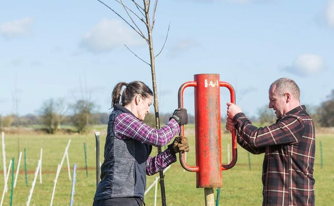 National Trust farms begin major tree planting journey