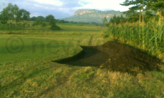 Mbale golf course on the mend Mbale golf course on the mend