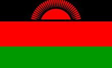 Malawi export ban chills exploration and development 