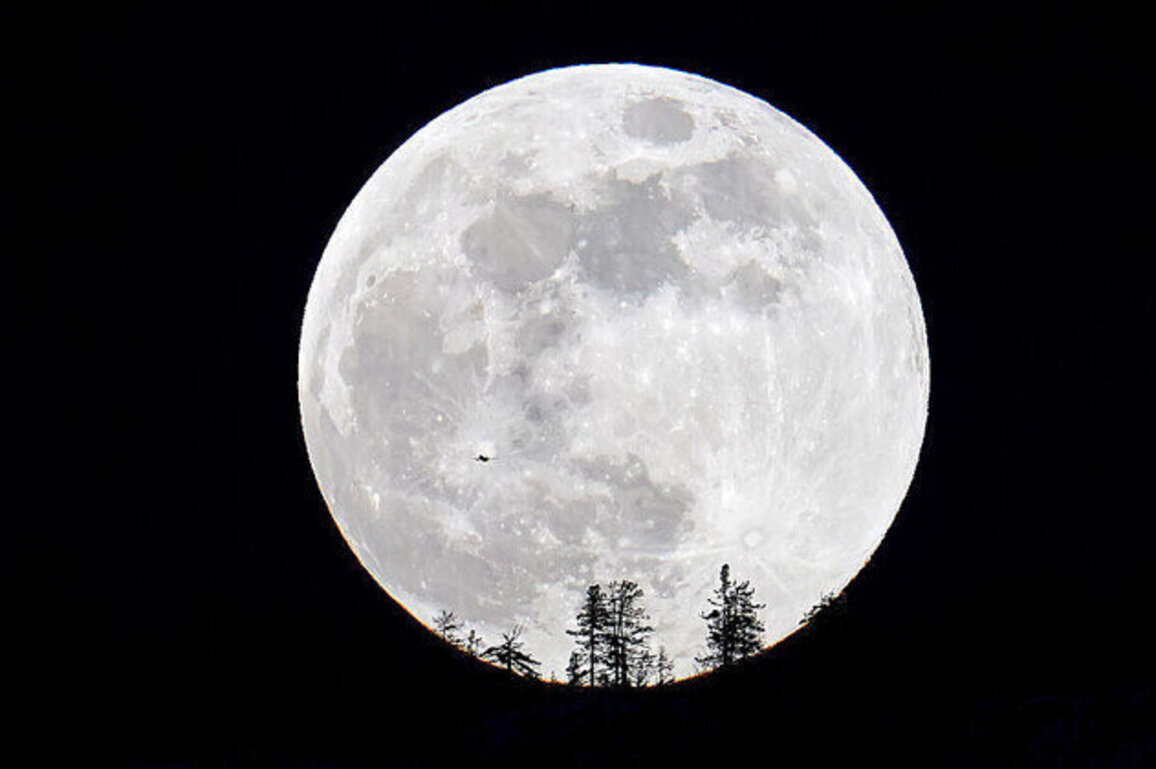 Musk plans self-growing Moon city