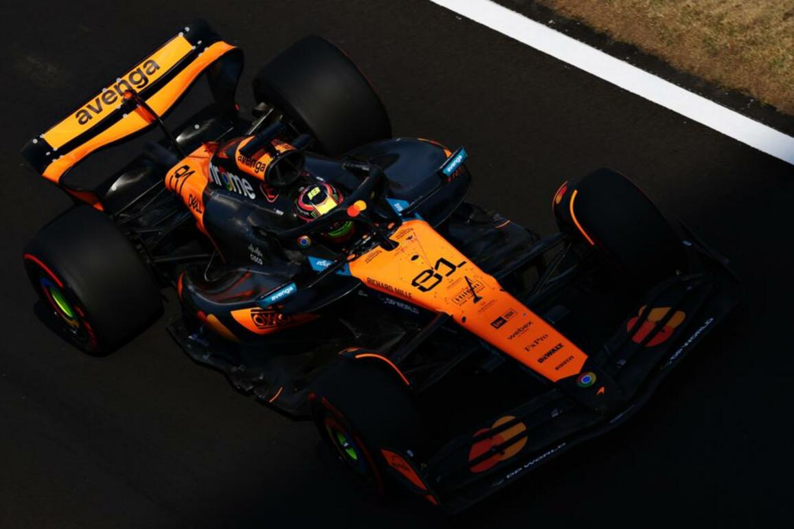 Formula 1- Australian Oscar Piastri secures maiden pole position with record lap in China