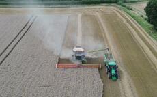 2024 yields were down across all crops