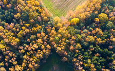 Plans for Oxford-Cambridge Corridor National Forest take step forward