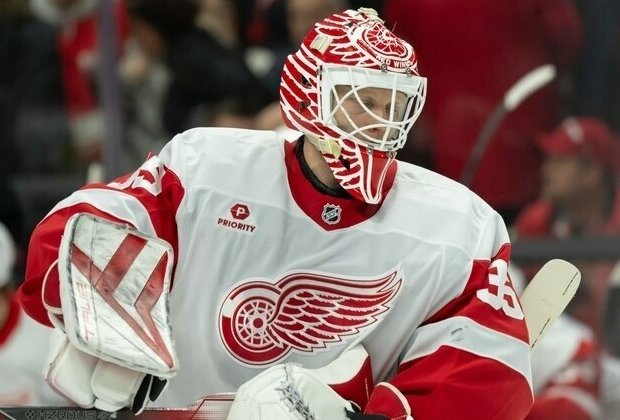 Ducks acquire veteran G Ville Husso from Red Wings