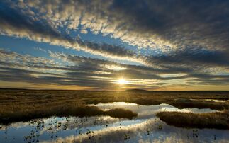 Peatland is a critical cabon store | Credit: Mark Hamblin, Wildlife Trusts
