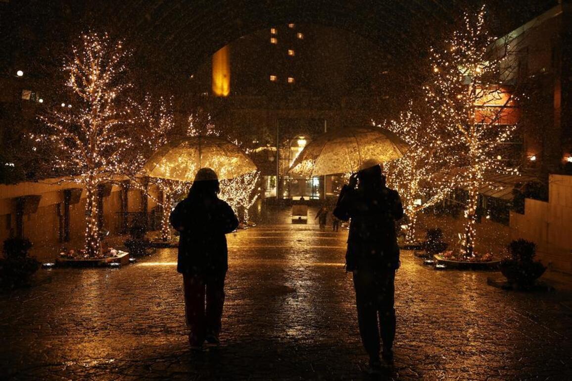 Asia Album: First snowfall of 2026 in Tokyo, Japan