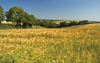 Survey reveals nearly 50% of farmers take less than a week off work each year