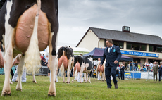 Royal Welsh Show: Pembroke breeders awarded dairy supreme title