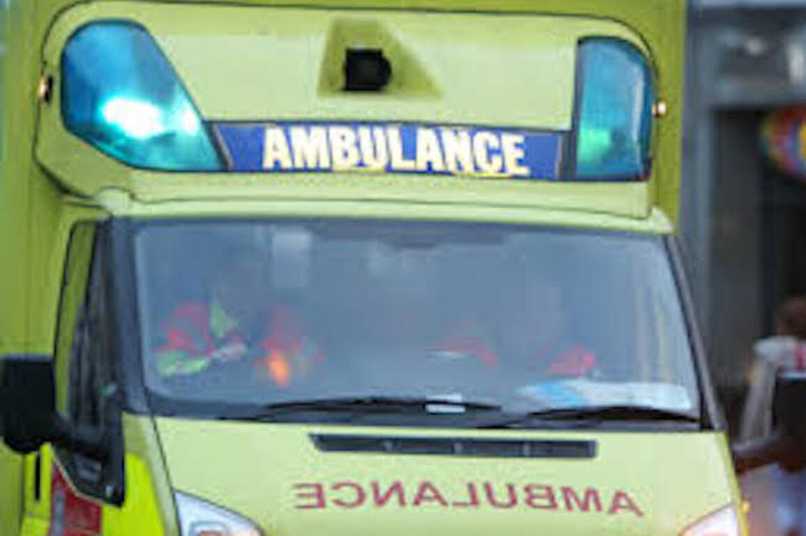 One dead after car runs off road and crashes in Co Limerick