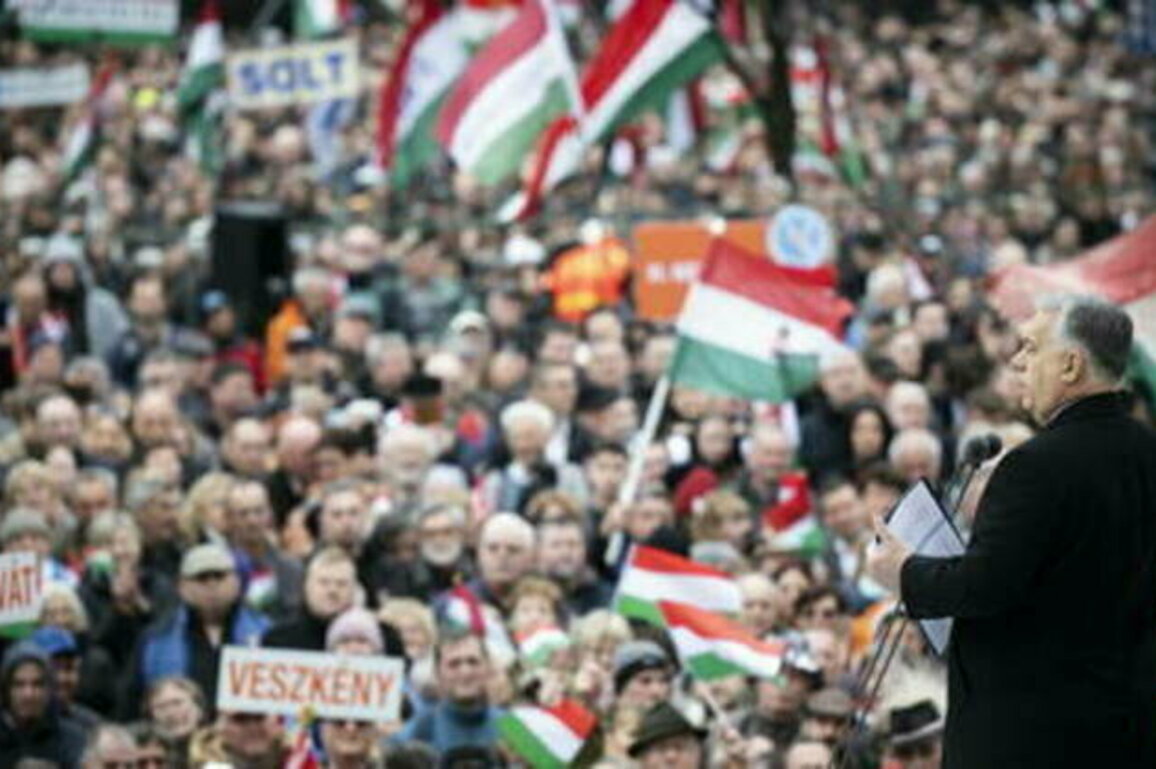Major rival rallies held in Hungary (VIDEOS)