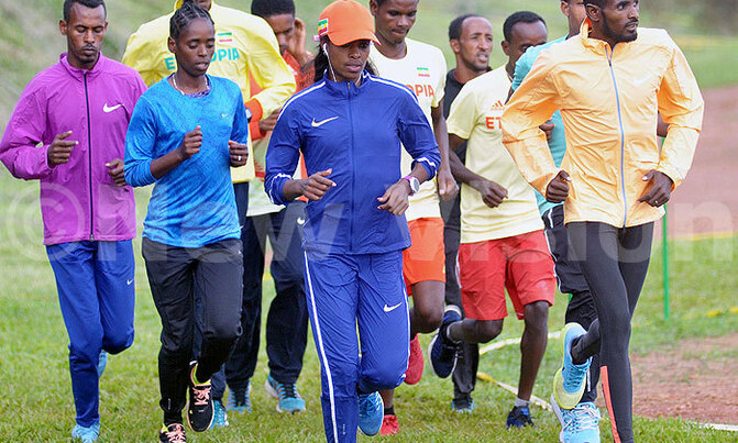 We are ready to battle with Kenyans - Dibaba We are ready to battle with Kenyans - Dibaba