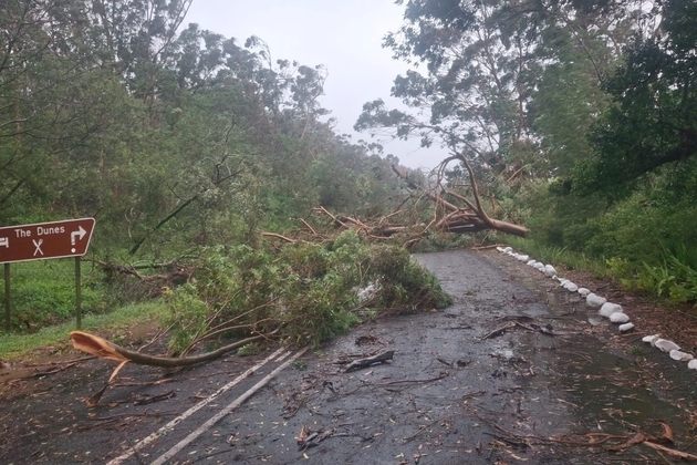 SOUTH AFRICA-GARDEN ROUTE-SEVERE WEATHER-NATIONAL DISASTER