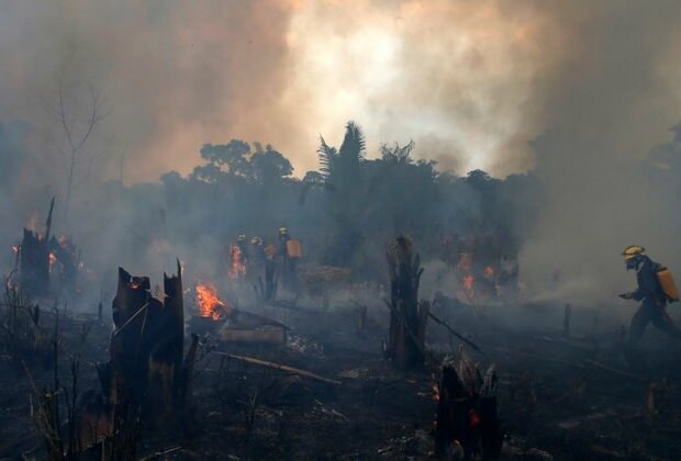 Amazon Deforestation in Brazil Remains Near 15-Year High