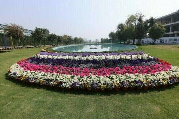 Flower Fiesta at Central Park Flower Valley: A mesmerising treat for garden lovers