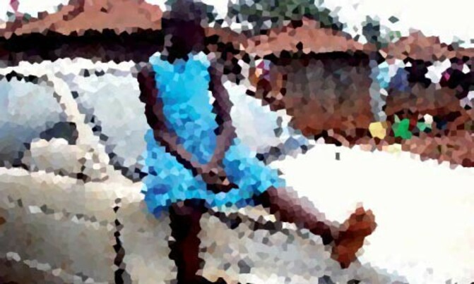 MPs warn teachers against defiling school girls MPs warn teachers against defiling school girls