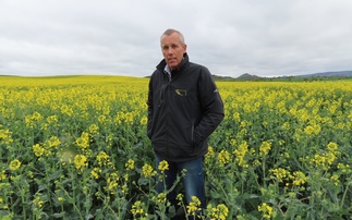  Variety choice underpinning IPM approach to clubroot risk management